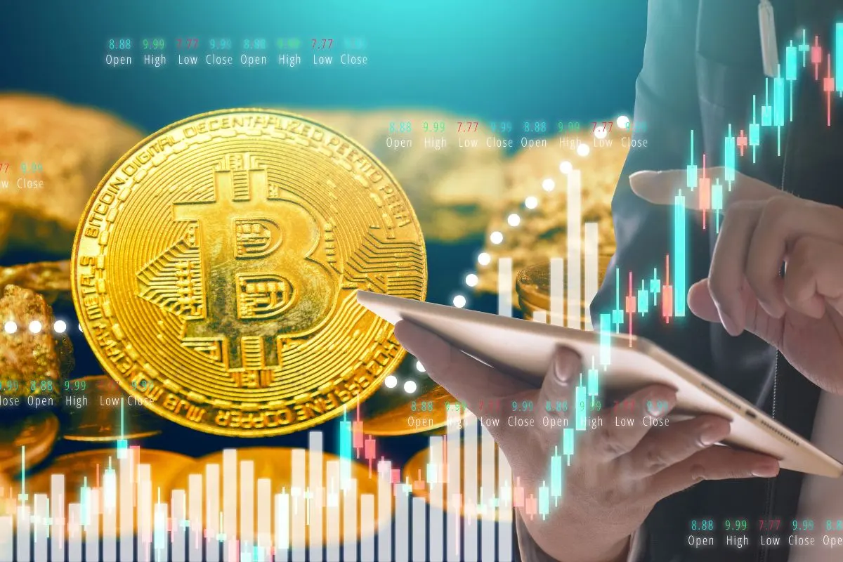 primer trimestre de coinbase